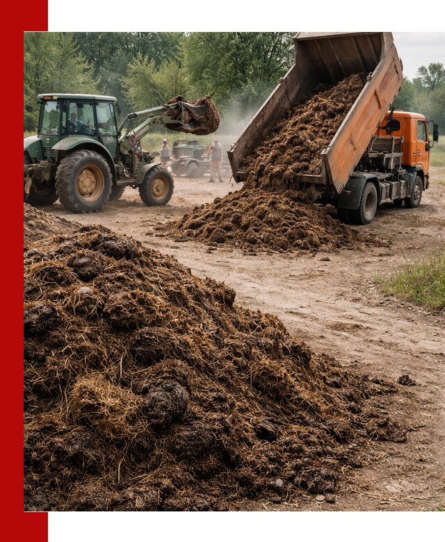 Доставка навоза самосвалами в Санкт-Петербурге для сельхозпотребностей