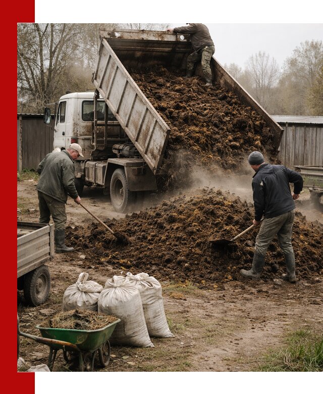 Доставка коровьего навоза самосвалом в Санкт-Петербурге